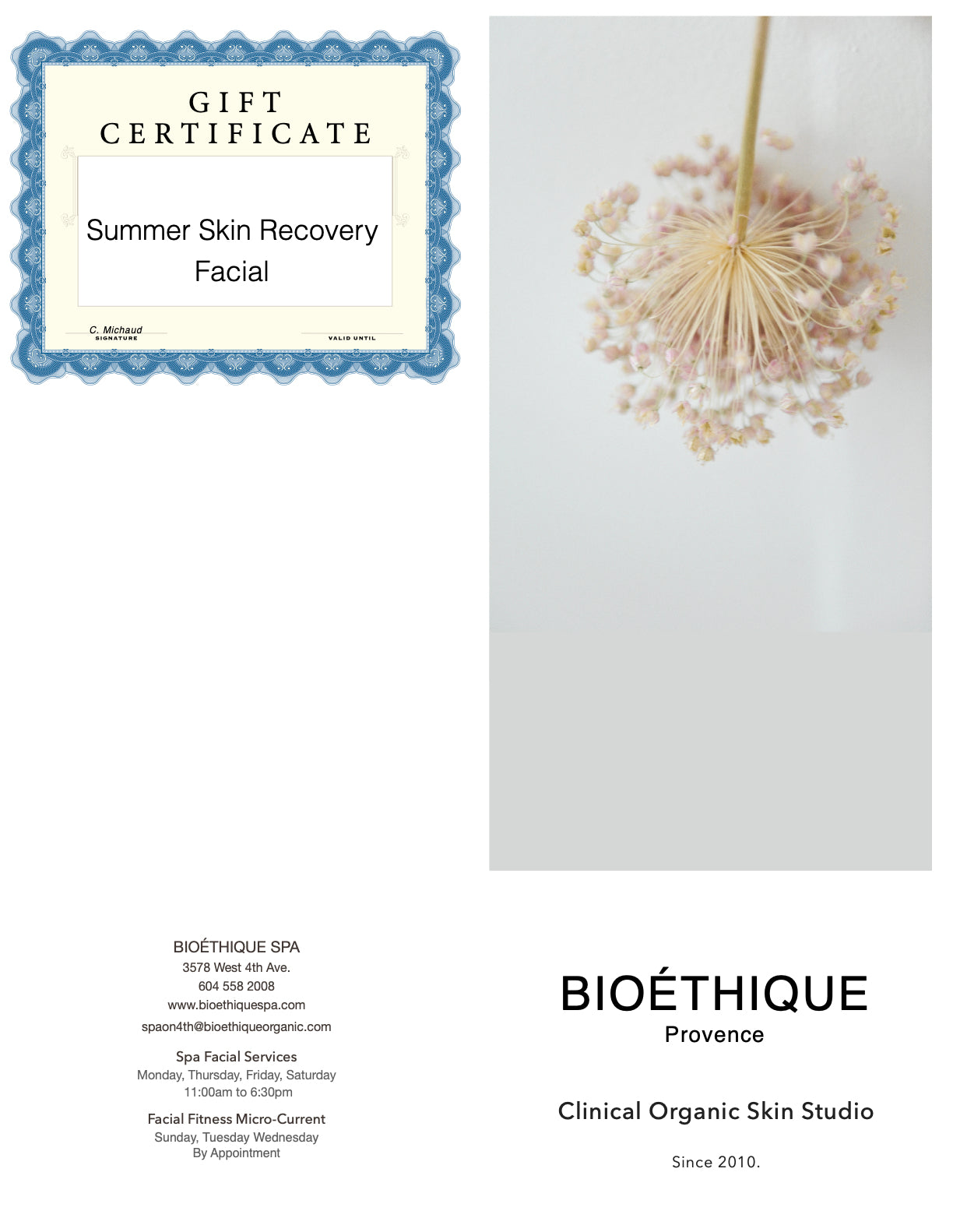 Summer Skin Recovery Facial Gift Certificate